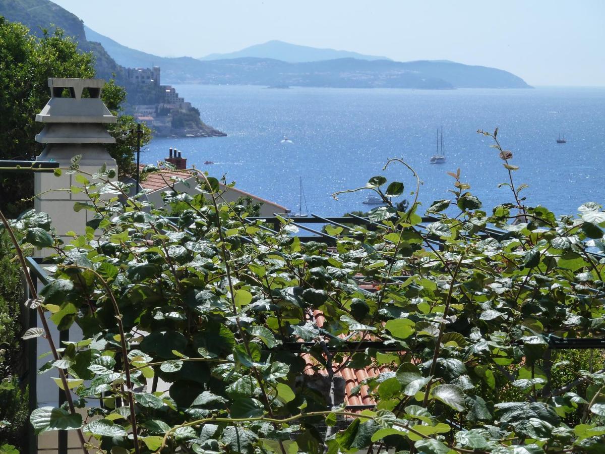 Panoramic Apartment Lujak 杜布罗夫尼克 外观 照片